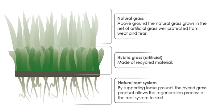 Gräsarmering Hybridgräs Premium 1 x 1 Grimsholm